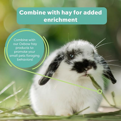 Oxbow Hay Toppers Meadow Blend, Bunny Treats, Foraging Enrichment for Rabbits, Chinchillas, Guinea Pigs, and Other Small Herbivores, Timothy Hay Topper, Premium Rabbit Food Additive, 2oz