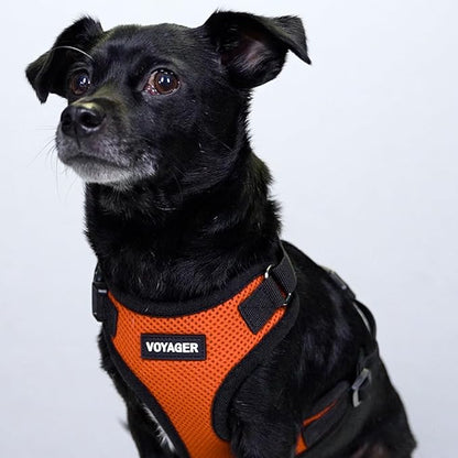 Voyager Step-in Pet Harness - All Weather Mesh, Adjustable Step in Harness for Cats and Dogs by Best Pet Supplies - Orange/Black Trim, S