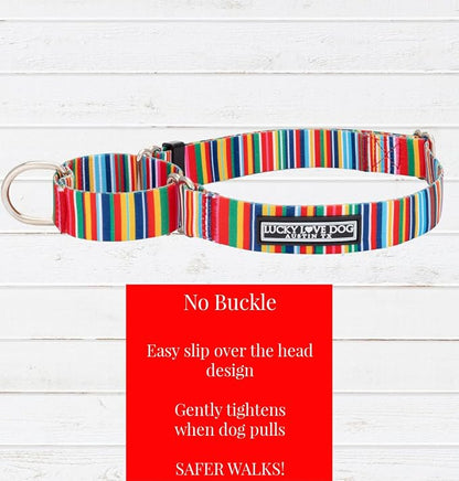 Lucky Love Dog Martingale Dog Collar & Leash - Adjustable, No-Slip, Durable, Comfortable, Soft Webbing, & Stylish Patterned Collar & Leash Set for Male and Female Dogs - Hippie Combo, Small