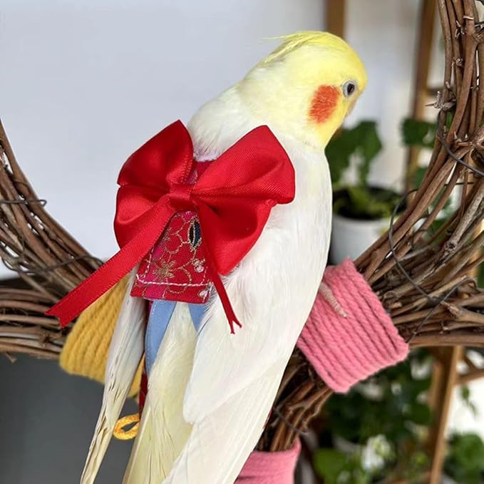 Bird Flight Suits Diapers, Parrot Flight Suits Diapers for Quaker Parakeets Cockatiels Conures Macaw African Grey, Bird Diaper, Parrot Clothes (Blue,M)