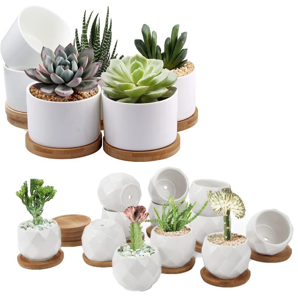 ZOUTOG Succulent Pots, White Mini 3.15 inch Ceramic Flower Planter Pot with Bamboo Tray, 2.5 inch Square Pattern Ceramic Planters, Plants Not Included