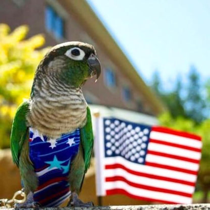 Avian Fashions FeatherWear FlightSuit Wide(7) Bird Diaper in Fireworks