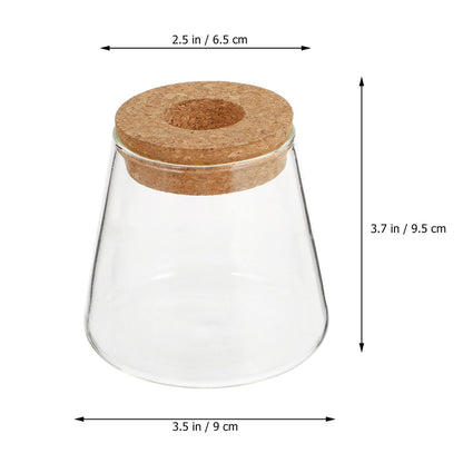 GRIRIW 2pcs Hydroponic Plants Vase Glass Planter Small Desktop Terrarium Container for Water Plant Propagation Home Office Décor