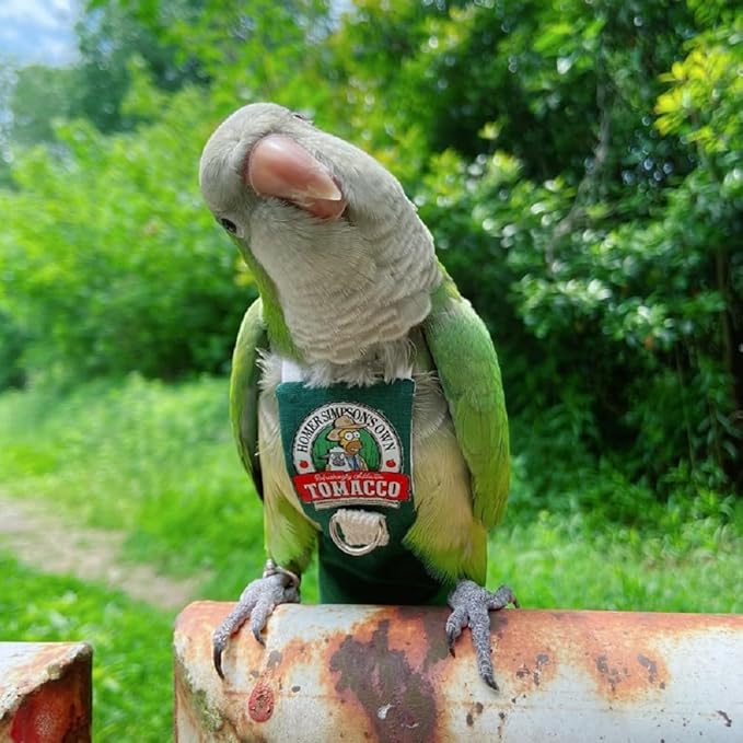 Bird Clothes Parrot Diapers Bird Flight Suits, Reusable Waterproof Diapers pet Bird Supplies (L)