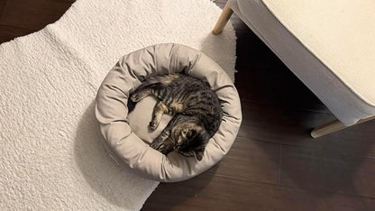 Organic Cotton Canvas Dog Bed: Removable Cover, Natural Fill - Made in USA (Gray, X Small 18" x 6" inches)