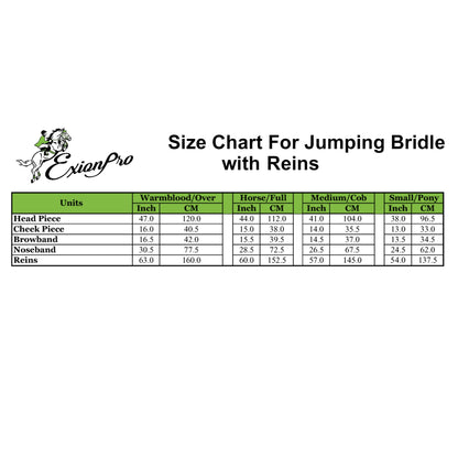 Exion White Shine Blings & Browband & Snaffle Bling Noseband & White Soft Lined Padded Bridle & Rubber Reins. | Browbands with Bling | Bling Browbands | English Tack for Horses