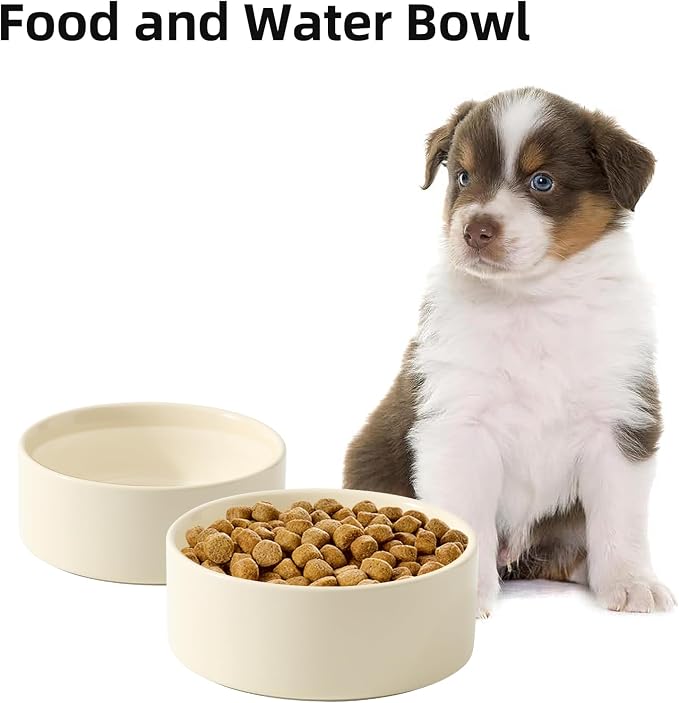 Havniva Cat Bowls Water Bowl Set of Two, 6.1” Ceramic Cat Food and Water Bowl Whisker Friendly Pet Food Bowls for Indoor Cats, Wide Cat Water Dish Prevent Whisker Fatigue Non Slip Cat Feeder