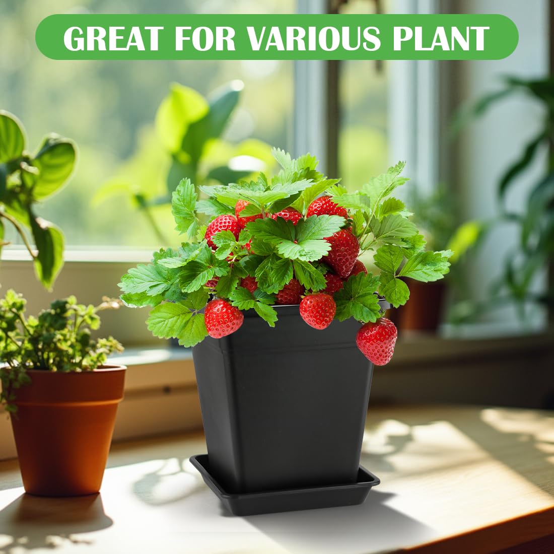 BTPLASTIK 9 Inch Square Planters for Indoor Plants, 8 Pack Large Plastic Plant Pot with Drainage & Saucer, 3 Gallon Modern Decorative Thick Outdoor Garden Container for Potted Plants