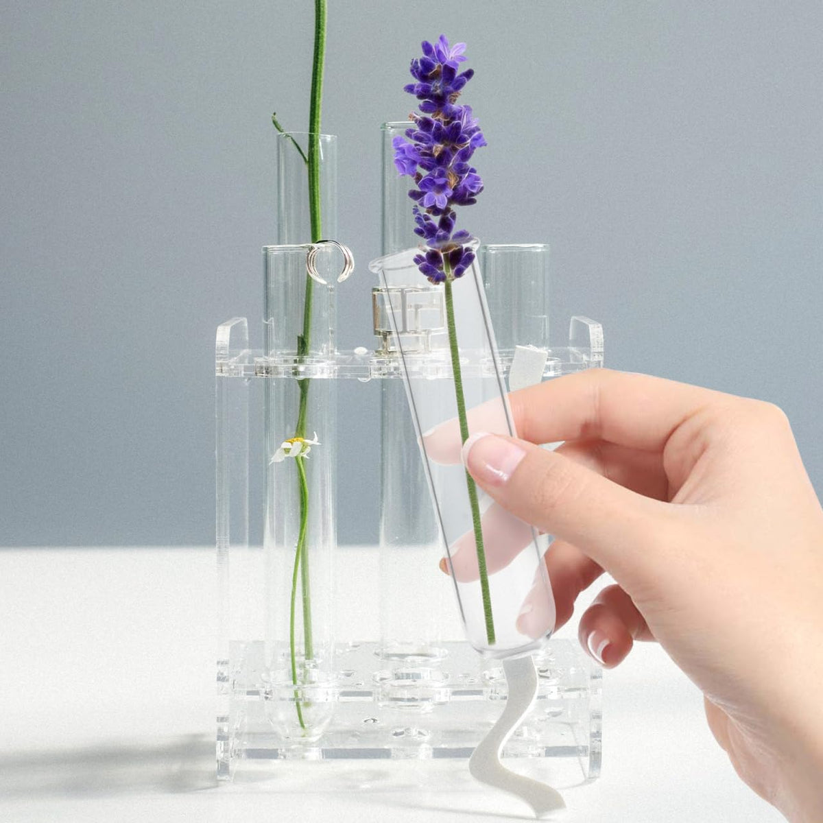 IWOWHERO 5Pcs Plant Propagation Station Glass Plant Test Tube Planter Pot Holder for Hydroponics for Home Office Planter Hanger Flower Vase Wall Decor Hydroponic Cuttings Clear