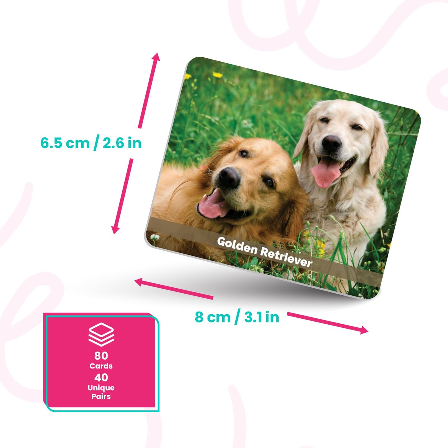 Menique – Dogs Memory Matching Game – Bilingual – 80 Cards (40 Pairs) with Real Photographs – Educational Game for Kids and Adults
