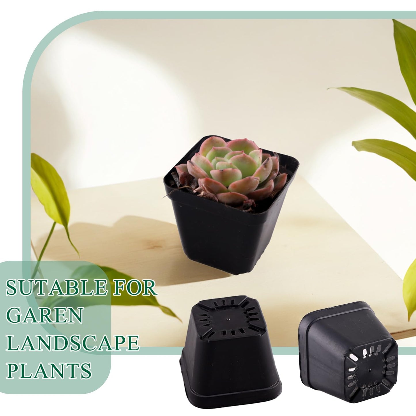 Tulpeed 100 Packs Square Nursery Pots for Plants 4 Inch Succulent Plant Pots Set Plastic Seedling Starting Pots with Drainage Holes Nursery Pots Variety Pack Flower pots Planter Seed Starter, Black