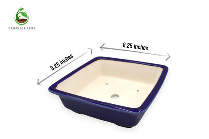 Bonsai Pot, Ceramic, Handmade, Square with Round Corners, Blue, 8.25 x 8.25 x 2.25 Inches