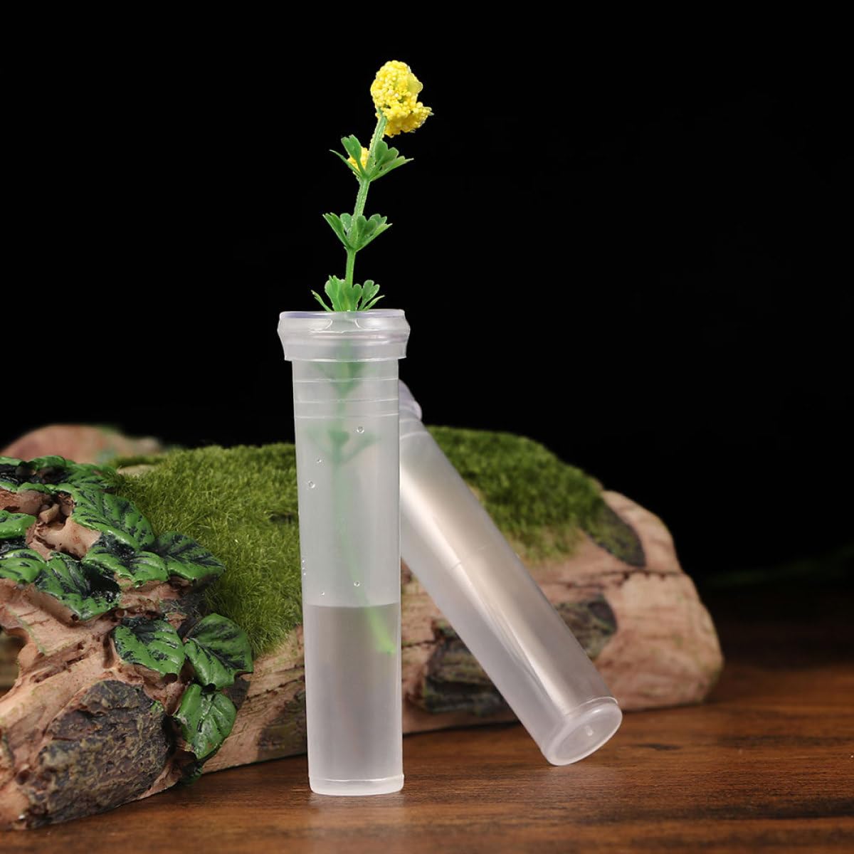 HOMOCONO 100pcs Small Hydroponic Plant Vases Glass Flower Propagation Tubes for Office Desktop Terrarium Plant Supply