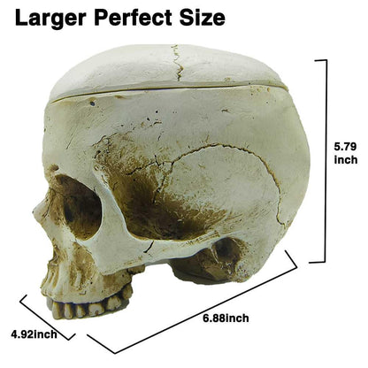 CUZOKOLA Larger 6.9" Human Skull Candy Dish with Lid,Big Skull Candy Jar,Skull Head Decor Statue Resin Mold for Halloween Skull Candy Bowl,Skull Home Decoration,White Skull Skeleton Bowl Sculpture