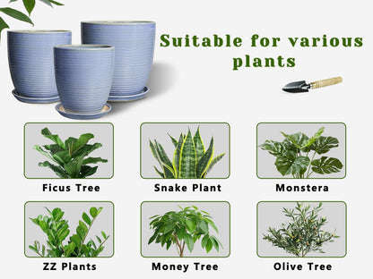 EEPFamily 8 Inch Plant Pot- Ceramic Planter for Indoor Outdoor with Drainage Hole and Plant Tray, Modern Round Porch Home Office Garden Living Room Decor, House Warming Gifts, Blue-Purple