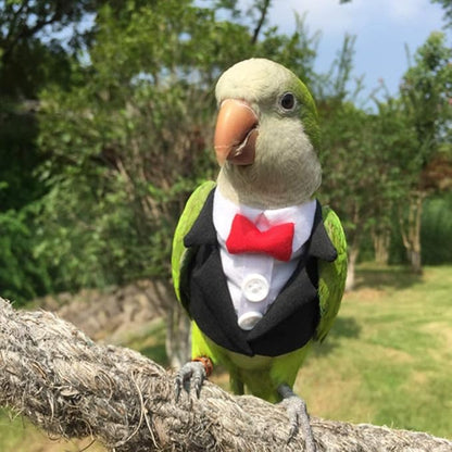 Bird Clothes Birds Flight Suit,Tuxedo Business Suit for Parrots African Greys Parakeet Cockatiel Sun Conure Christmas Party Birthday Cosplay Photo Prop Small Animals Apparel (2XL,Black Suit)