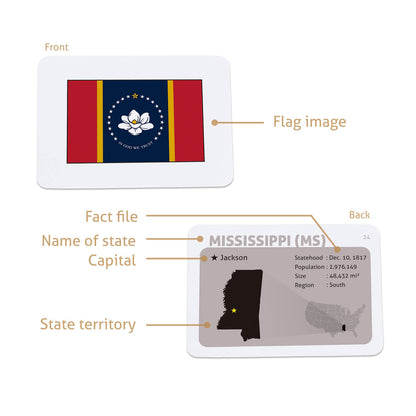 CARDDIA | U.S. State Flags Flashcards | 50 States with Names, Abbreviations, Capitals & Facts | Educational & Durable | Geography Learning Tools for Kids & Adults