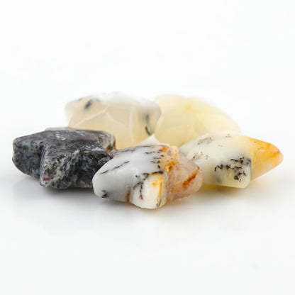 CRYSTALINES 5pcs, Wholesale Natural Dendrite Agate Gemstones, Bulk Star Shape Stones, Assorted Loose Supply, DIY Craft-Jewelry Making, Chakra Healing Crystals, Gem Collection, 10-12mm