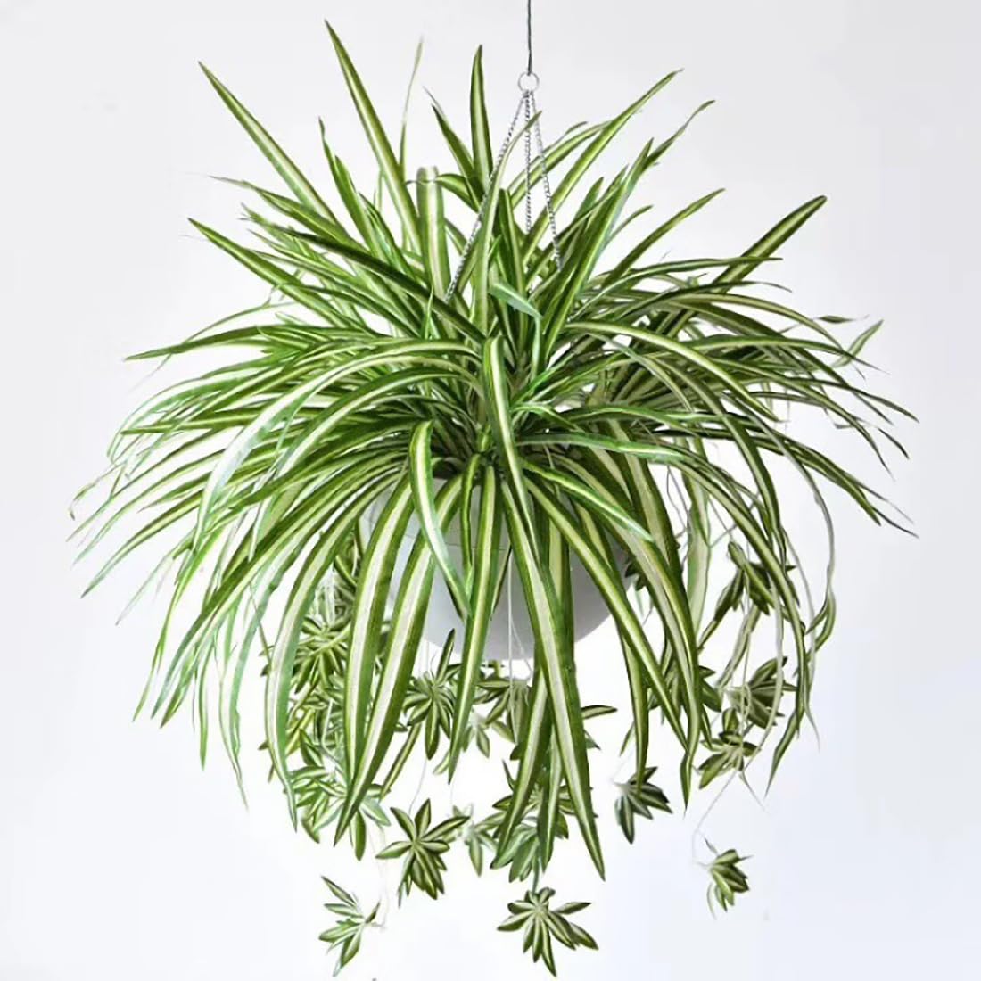 Qingriver 3 Sets Artificial Bracketplant chlorophytum Silk Spider Flowers Bonsai Wall Hanging Plants for Home Decor