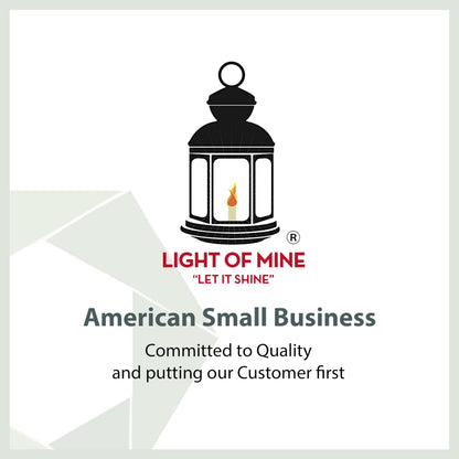 LIGHT OF MINE Dietz #80 Blizzard Oil Lantern - Borosilicate Glass, Red, 7/8in Replacement Wick Strips