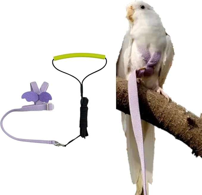 Bird Harness Leash Adjustable Outdoor Training Flying Harness Traction Rope with Cute Wing for Parrots Pigeons Budgerigar Lovebird Cockatiel Mynah (M,Purple)