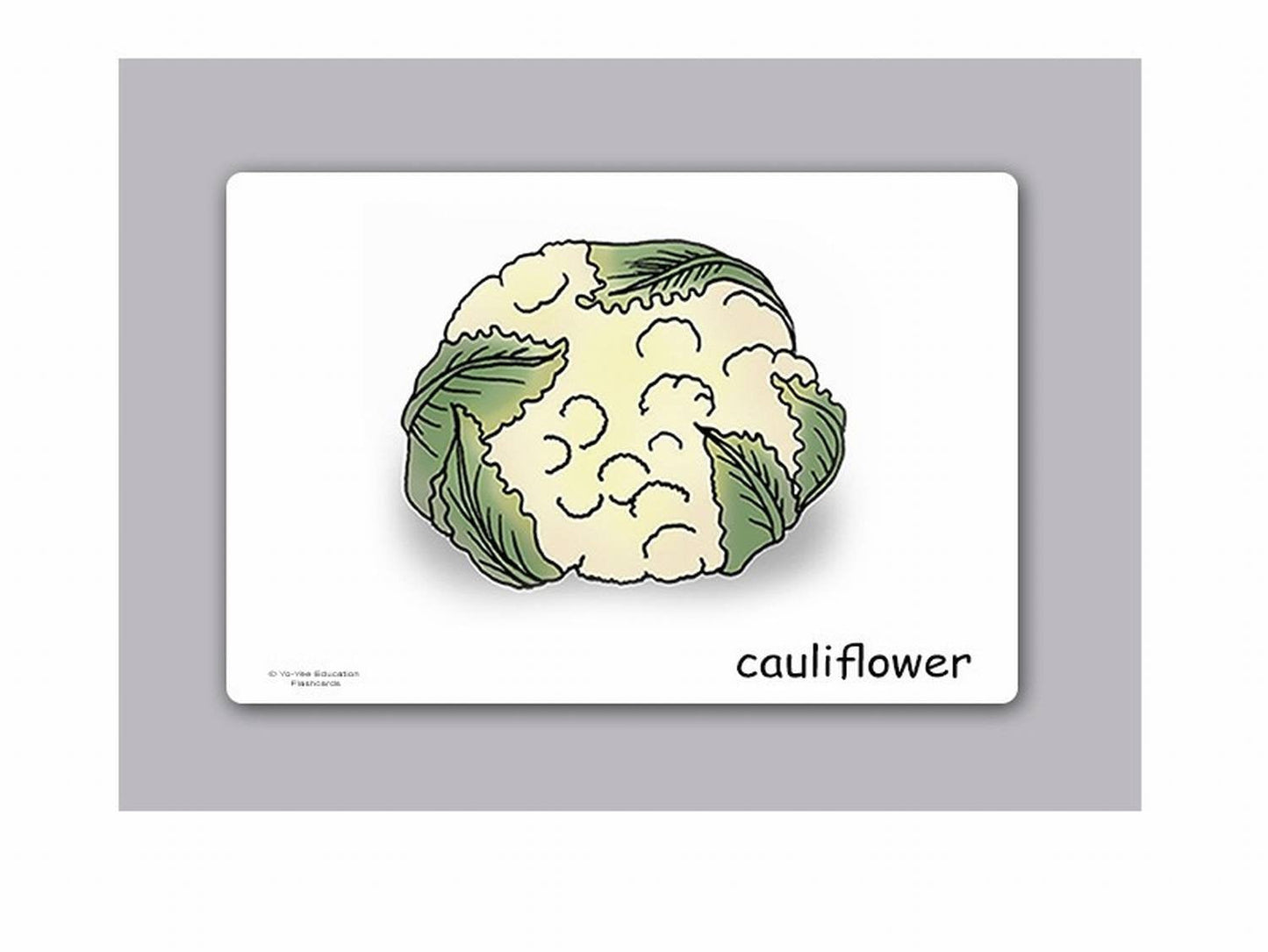 Yo-Yee Flash Cards - Vegetables and Health Food Picture Cards for Language Learning for Toddlers, Kids, Children and Adults - Including Teaching Activities and Game Ideas and More