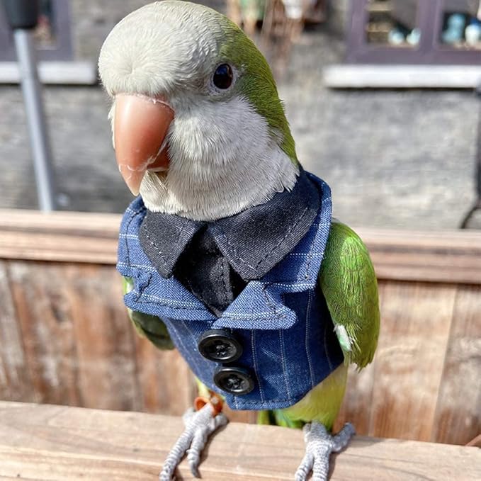Bird Clothes Birds Flight Suit,Tuxedo Business Suit for Parrots African Greys Parakeet Cockatiel Sun Conure Christmas Party Birthday Cosplay Photo Prop Small Animals Apparel (2XL,Denim Suit)