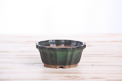 Willow Bonsai Ceramics Flower Design Bonsai Pot 4.5 Inch – Elegant Ceramic Bonsai & Succulent Planter, High‑Fired Frost‑Proof Stoneware with Drainage & Wiring Holes, Handmade in USA (Avocado)
