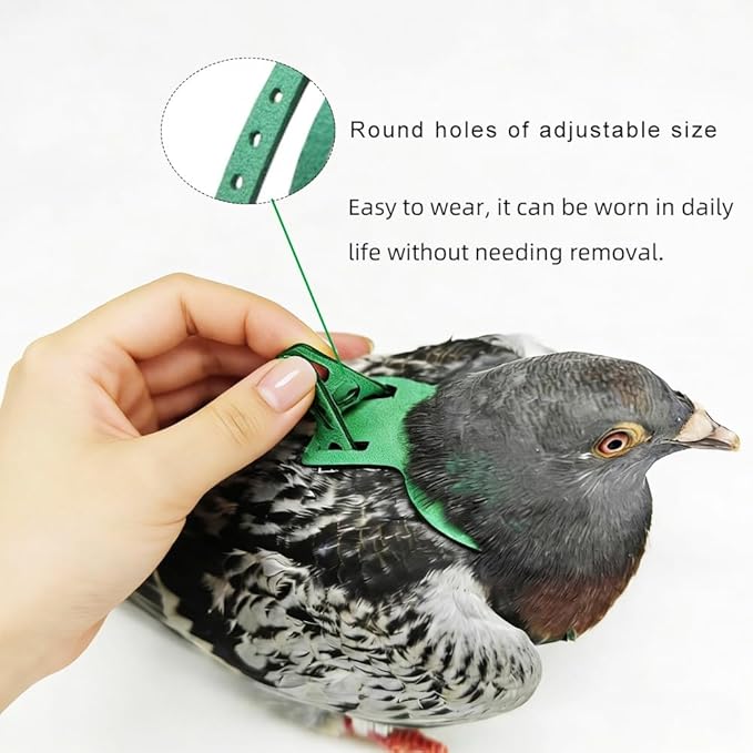 Adjustable Bird Harness & Leash Set for Small Birds,FitsBudgie,Parakeets, Conures, Cockatiels,Green Cheek,Quaker Parrots(Green, M) Z6350-8