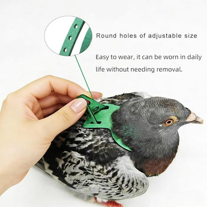 Adjustable Bird Harness & Leash Set for Small Birds,FitsBudgie,Parakeets, Conures, Cockatiels,Green Cheek,Quaker Parrots(Green, M) Z6350-8