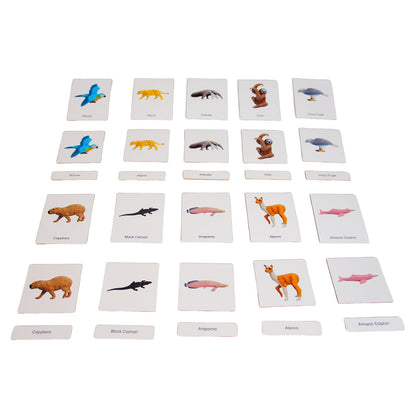 ancona South American Animals, Spanish/English Bilingual, Montessori Preschool Memory Matching Game Box Set with Animal Figurines & 3-Part Cards, Early Education Toy