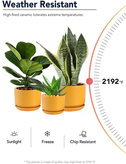 WHOMEPAA Ceramic Plant Pots with Drainage Hole and Saucer,Modern Indoor Pots for Plants,Ceramic Planter 6.7/5.3/4.3 inchs Set of 3,Indoor Flower Pot with Hole Mesh Pad, for Mom,Yellow