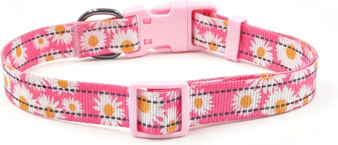 Dog Collar Leash Set, Floral Pattern, with Safety Reflective Strips, 5 ft Matching Leash, Neoprene Padded Handle, Adjustable 4 Sizes for Small Medium Large Dogs.(M, Pink Daisy)