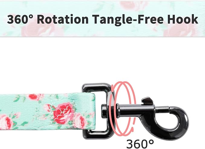 Ihoming Dog Collar and Leash Set for Daily Outdoor Walking Running Training, Floral Spring Design for Small Boys Girls Dogs Cats Pets, S-Up to 20LBS