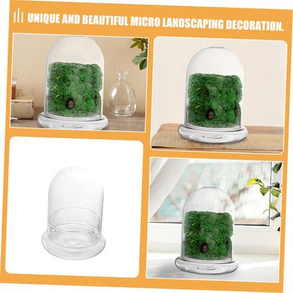 VICASKY 2pcs Glass Eco Bottle for DIY Micro Landscape Terrarium Container for Plants Decorative Desk Ornament Glass Display for Miniature Gardens