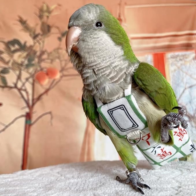 Bird Diaper Harness Flight Suit Clothes, Parrot Flight Suit with Leash for Parrot, Bird Flying Clothes with Rope and Handle for Outdoor Activities Training (with Leash,Necked Parakeet)