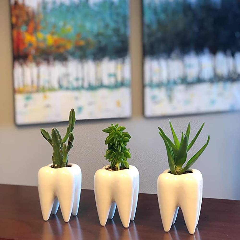 Hedume 6 Pack Tooth Shaped Planter Pots, Small Cute Flower Plant Containers, Mini Ceramic Succulent Planter Pots, Creative Pen Pencil Holder for Desk Decor