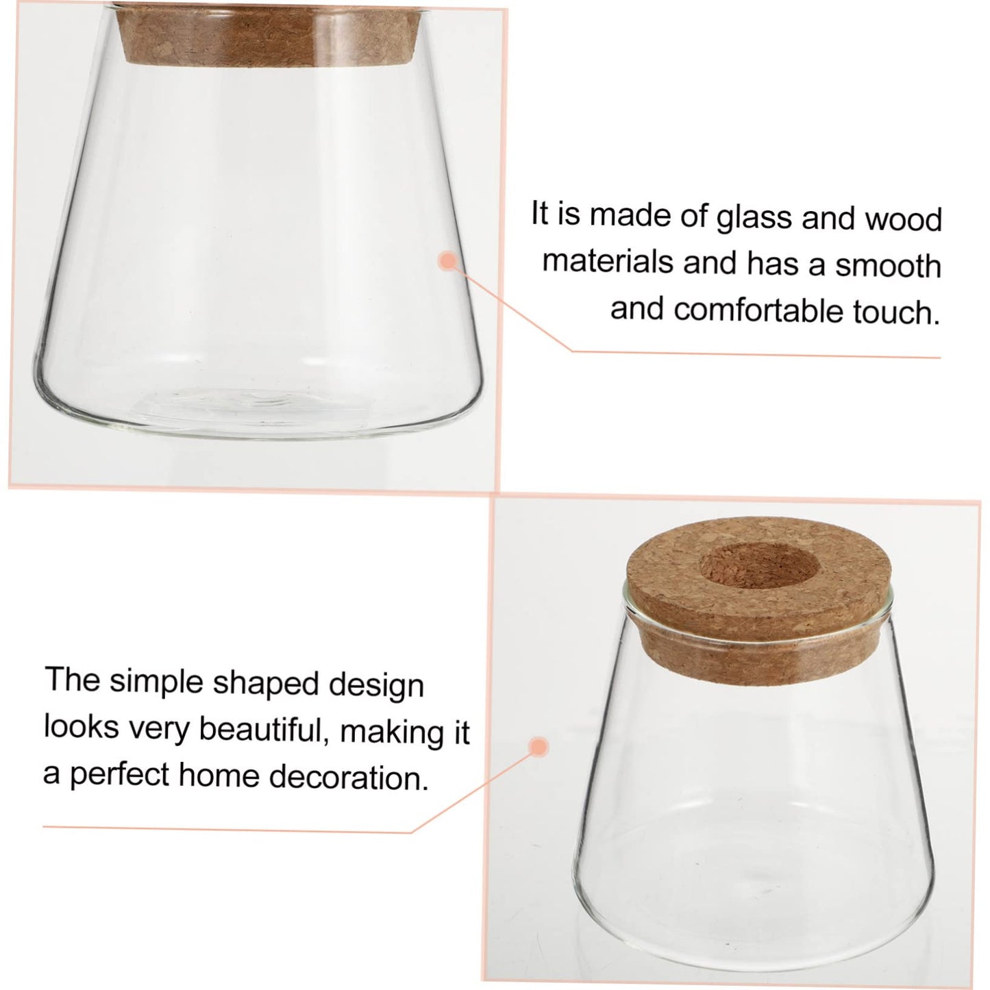 Zerodeko 2Pcs Hydroponic Plant Glass Vases Desktop Terrarium Clear Propagation Containers for Indoor Plants Home Decoration Garden Lovers
