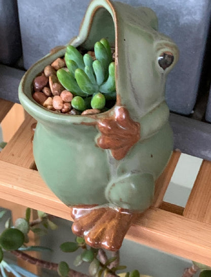 zmgmsmh Ceramic Succulent Plant Pot Cactus Plant Pot Flower Pot Container Planter with Drainage Hole Home Office Desk Garden Gift Idea Animal Shaped Flower Pot Cute Vase Pot (Large Frog)