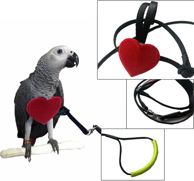 Adjustable Birds Harness and Leash Parrot Harness Leash Training Supplies Pet Anti-bite Outdoor Flying Rope for Conures Budgerigar Lovebird Cockatiel Mynah (XS)