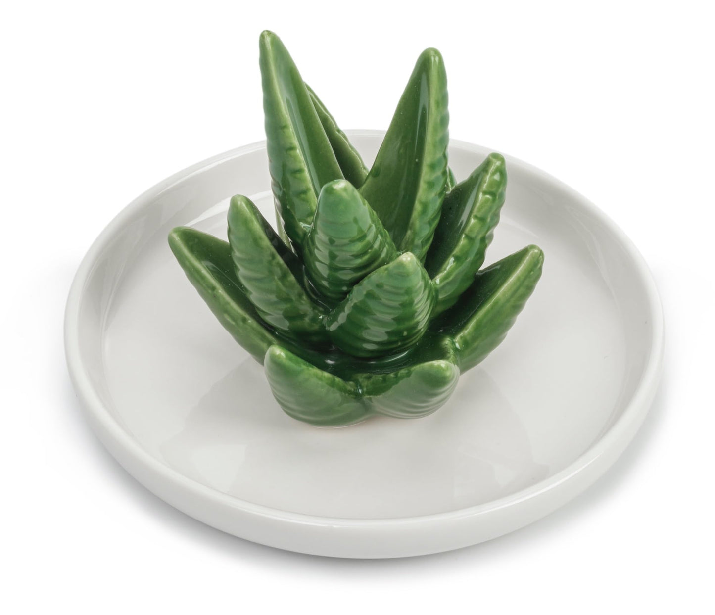 NociHah Cactus Ring Holder Jewelry-Dish - Ceramic Plant Decor Jewelry Dish Bracelet Earrings Necklace Tray for Birthday Gifts Home Wedding Decor