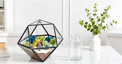 Creations by Nathalie DIY 7" Geometric Terrarium Kit - Build Your Own Glass Terrarium for Adults & Teens with Moss, Crystals, Tools & Decor - Handcrafted in the USA (Live Plant Included)