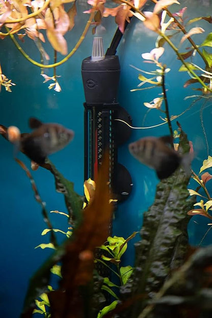 Marineland Precision Heater for Saltwater or Freshwater Aquariums