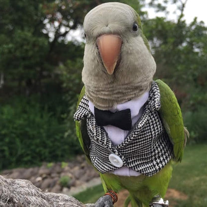 Bird Clothes Birds Flight Suit,Tuxedo Business Suit for Parrots African Greys Parakeet Cockatiel Sun Conure Christmas Party Birthday Cosplay Photo Prop Small Animals Apparel (M,Grid Suit)