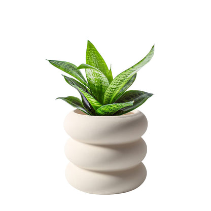 SANDYBAYTAS Ceramic Plant Pot Indoor, 4.5 Inch Beige Unglazed Flower Pot with Drainage Hole, Small Bubble Design Ceramic Planter for Home & Office Decor
