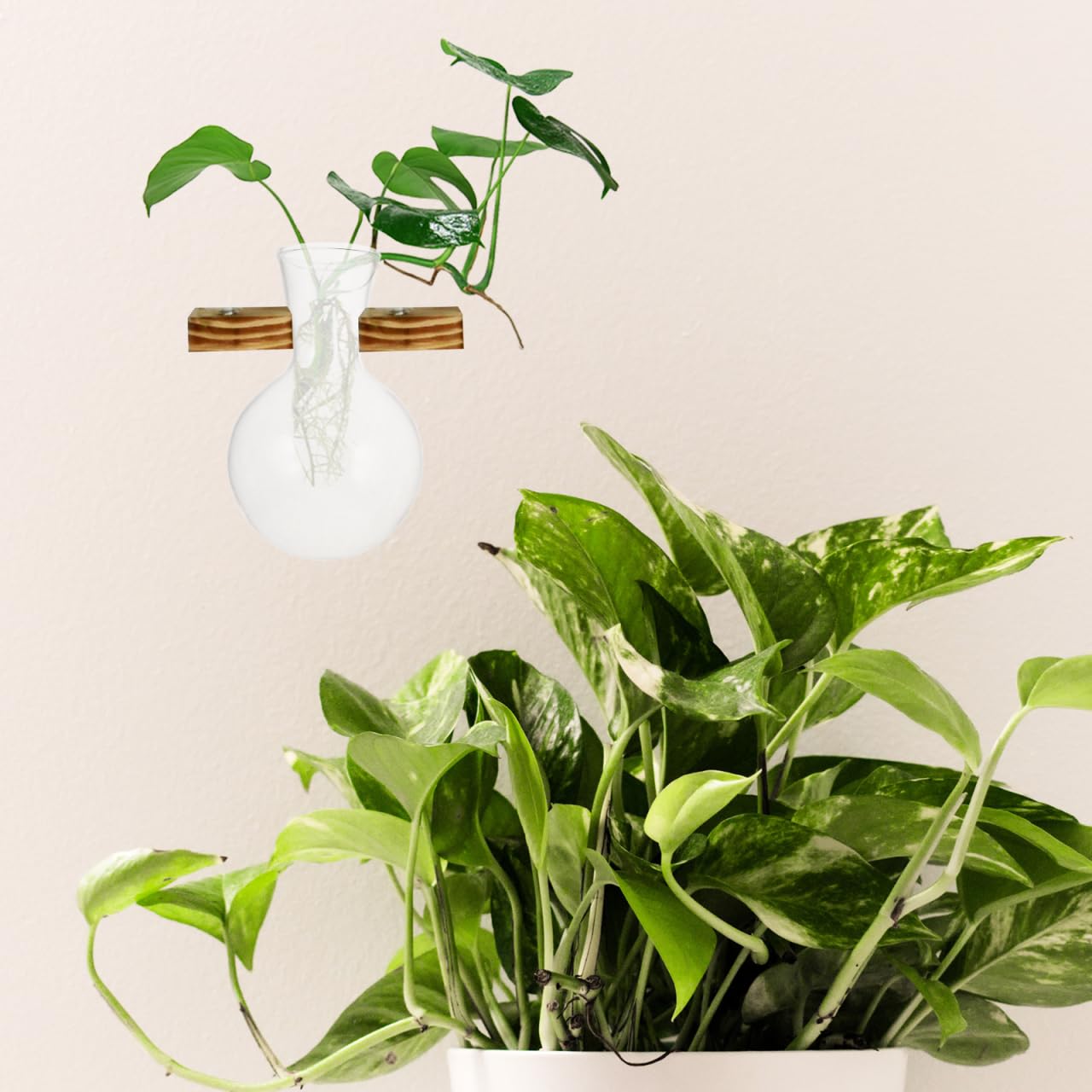 3Pcs Transparent Glass Vase Set 3.93X2.51In Hydroponic Planter Indoor Hanging Terrarium for Home and Plant Propagation