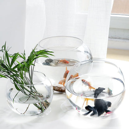 Luxshiny 2Pcs Clear Glass Vase Container 4 Inch Round Hydroponic Plant Holder Decorative Desktop Flower Pot for Home Office Hotel