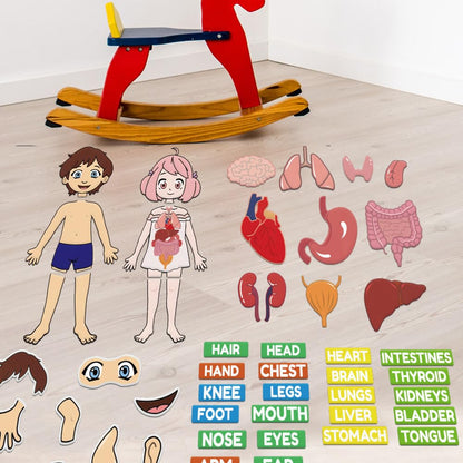 BEUNITONE Body Parts Learning Felt Story Board for Family 48 Pcs Large Preschool Human Organ Name Words Useful Felt Story Board Set Wall Activity for Birthday Christmas New Year Gifts