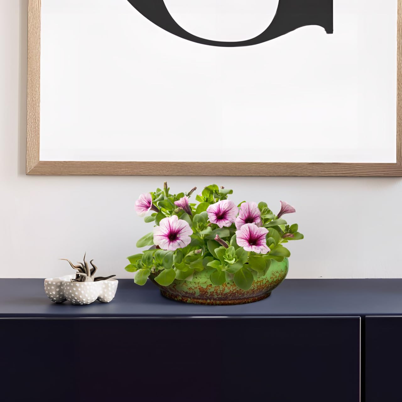 Happyyami Succulent Planter Pot 7.08In Round Shallow Bonsai Bowl with Drainage Hole for Desktop Cactus and Small Plants Decorative Container