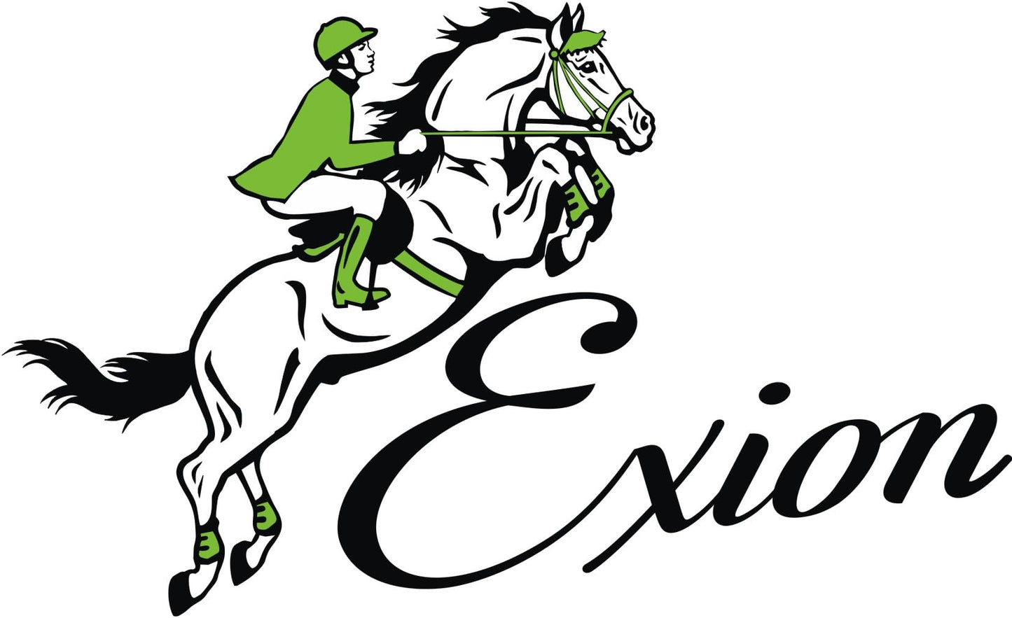 Exion Dressage Bridle with Anatomic Mono Crownpiece, Crank Noseband, Browband and Hand Stopper Reins for Horses